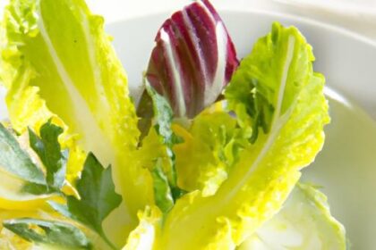 Bright & Fresh: The Ultimate Fennel and Orange Salad Guide